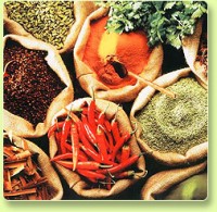 spices-pic
