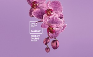 Photo courtesy of Pantone