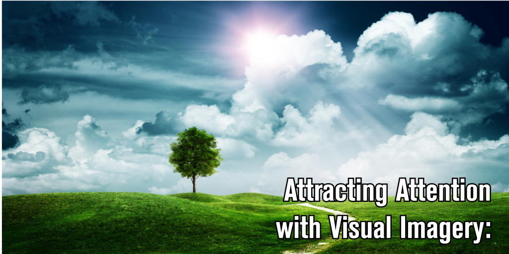 Visual Imagery