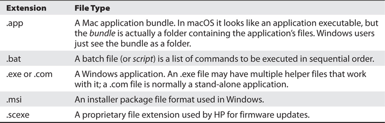 Table: Different Common Executable Formats