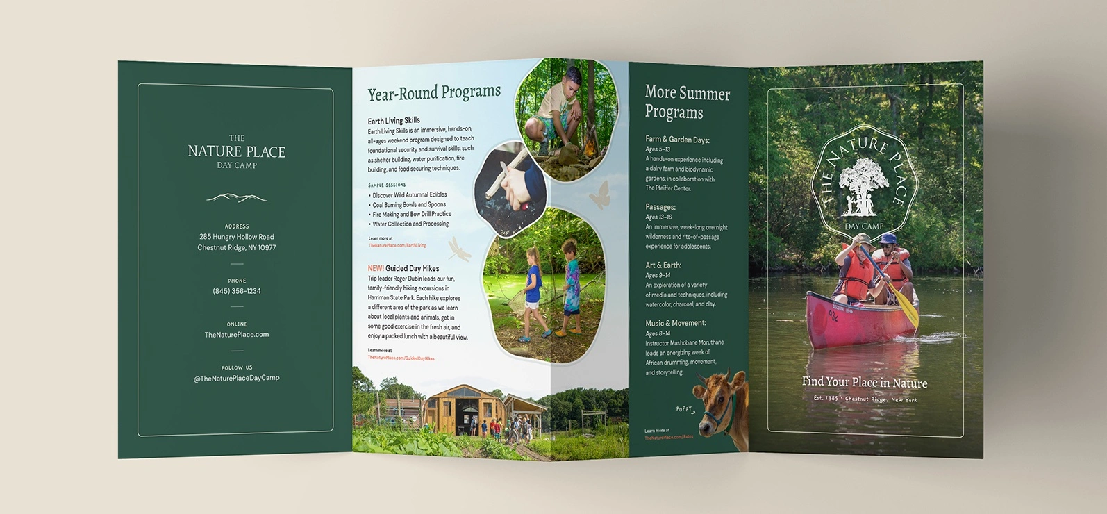 A photo of an accordion brochure for a day camp.