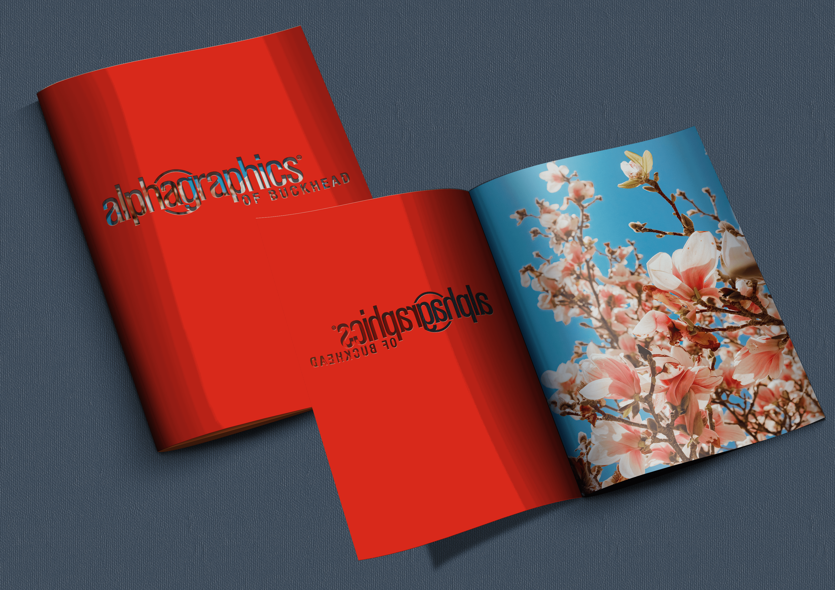 A photo of a die-cut brochure