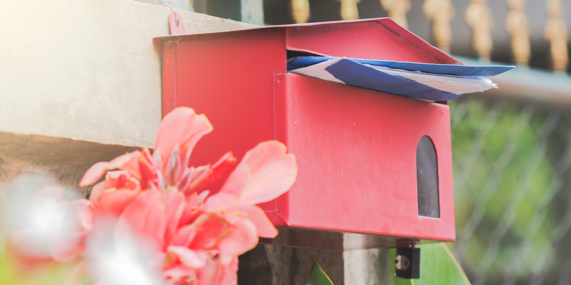 image of mail in a mailbox