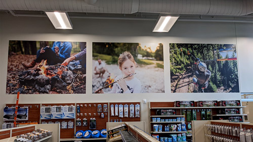 Art quality wall murals