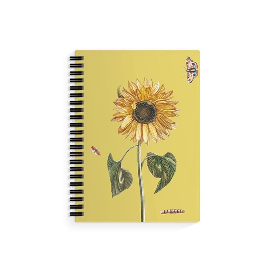 Binding Options | AlphaGraphics Phoenix, AZ