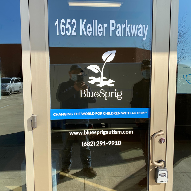 Blue Sprig Door