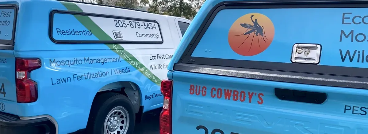 Bug Cowboy's mosquito control truck with blue wrap and logo on the camper shell