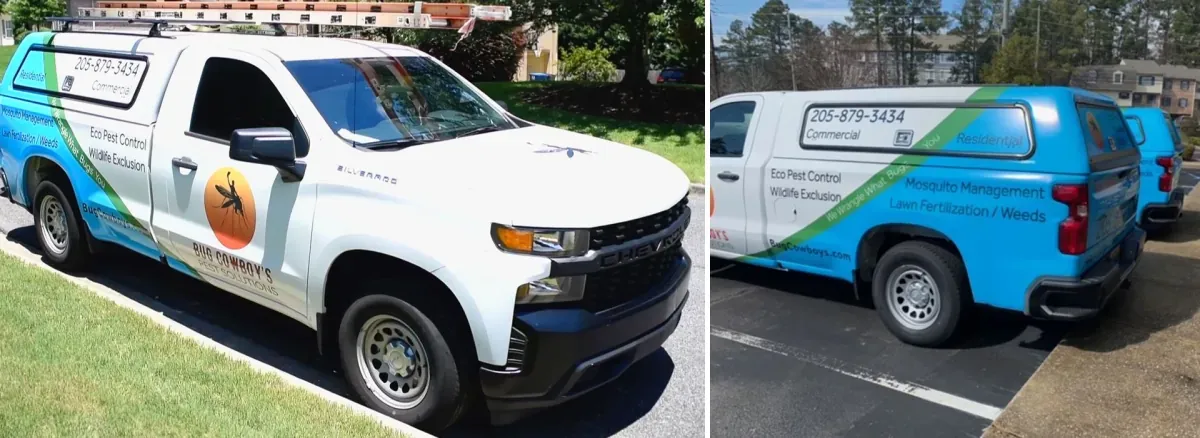 Bug Cowboy's pest control trucks with blue and green partial wraps and service lettering