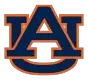 image.image_alt