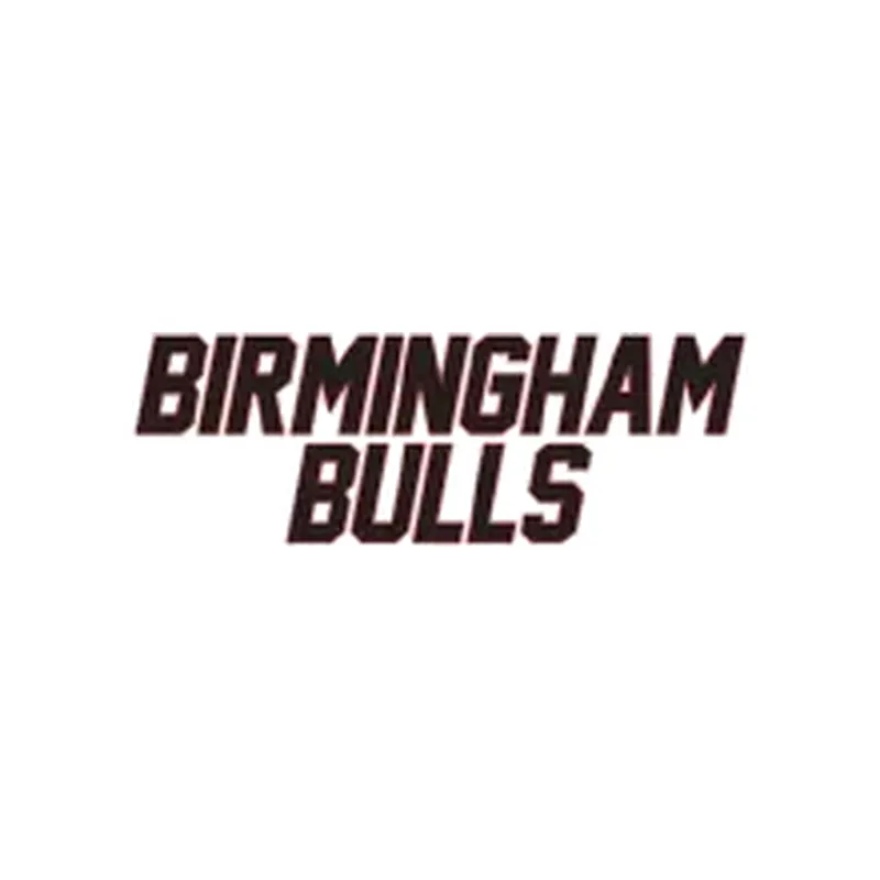 Birmingham Bulls hockey logo