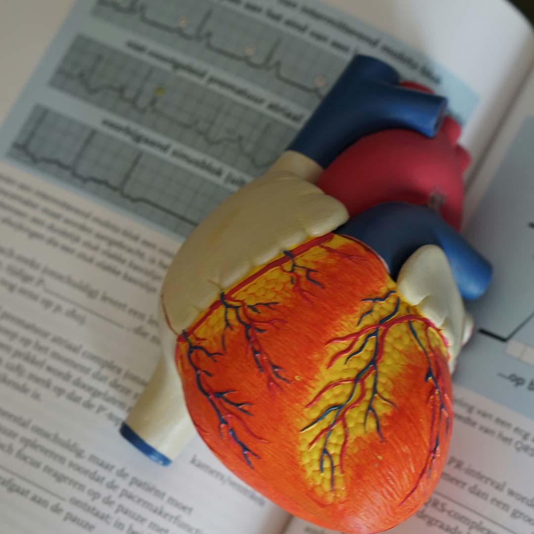 Medical Industry publishing services