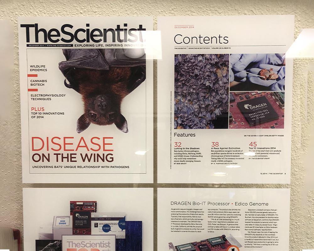 wall graphic flyers