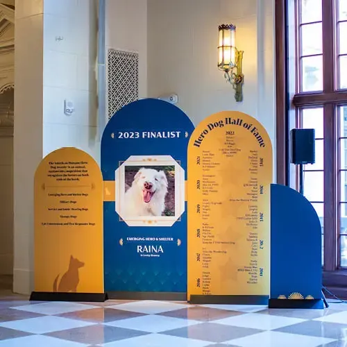 Layered blue and yellow signage display winners of the Hero Dog Awards