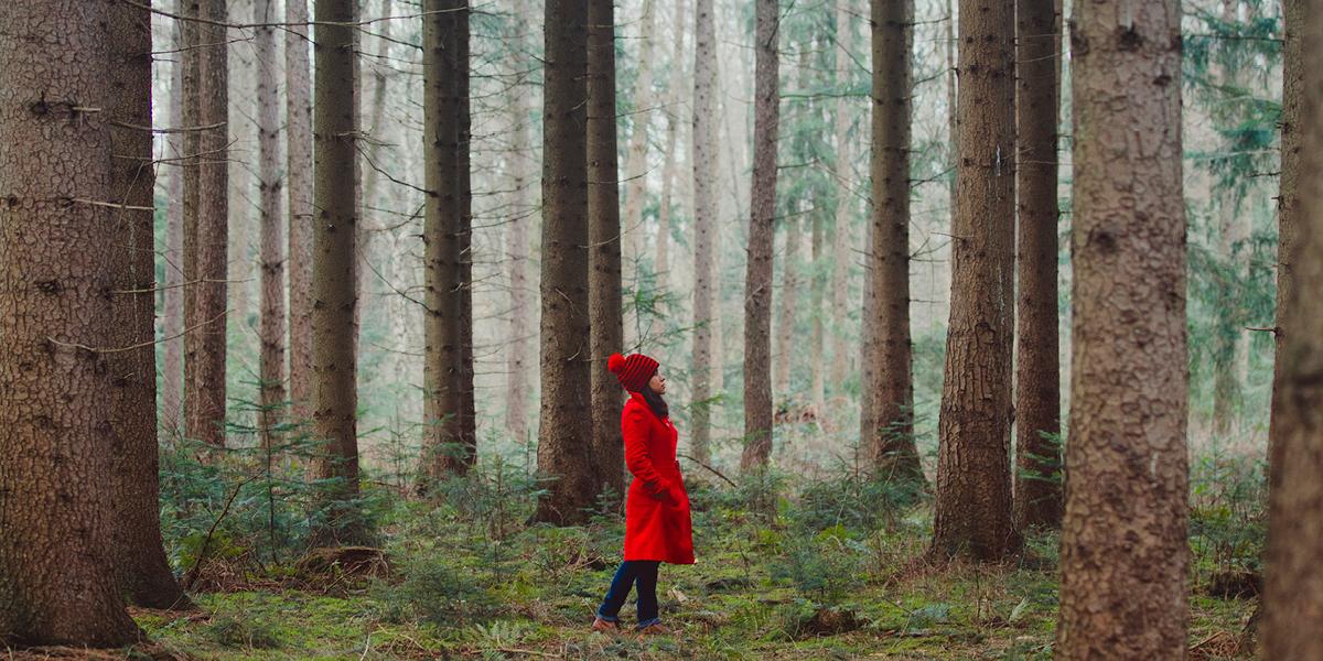 16 Ways to Relax, Refresh, and Recharge