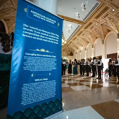 Blue signage at the entrance of the gala displays the gala's mission.