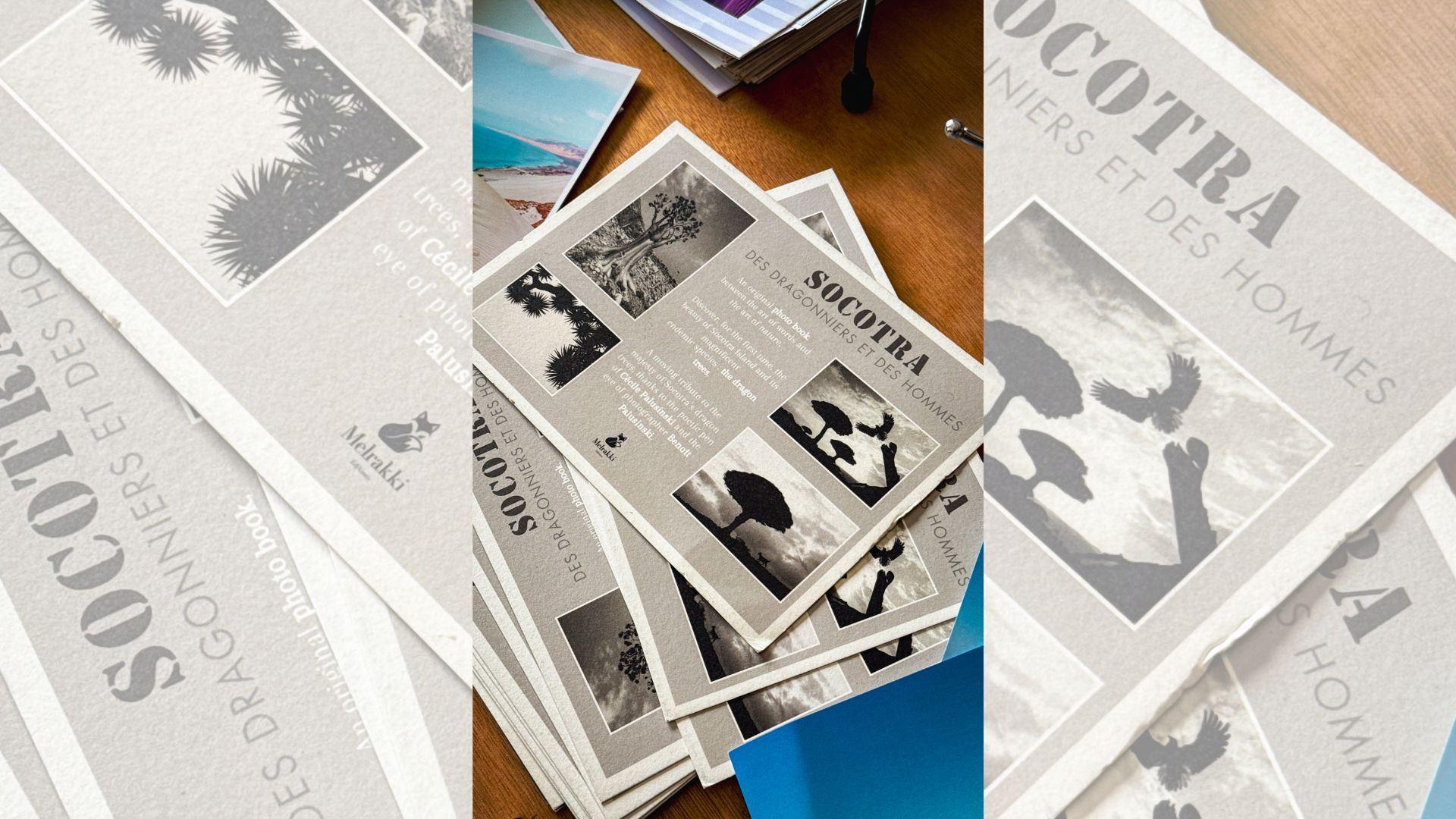 Orem Family Fun: Designing Brochures for Local Parks and Recreation Programs