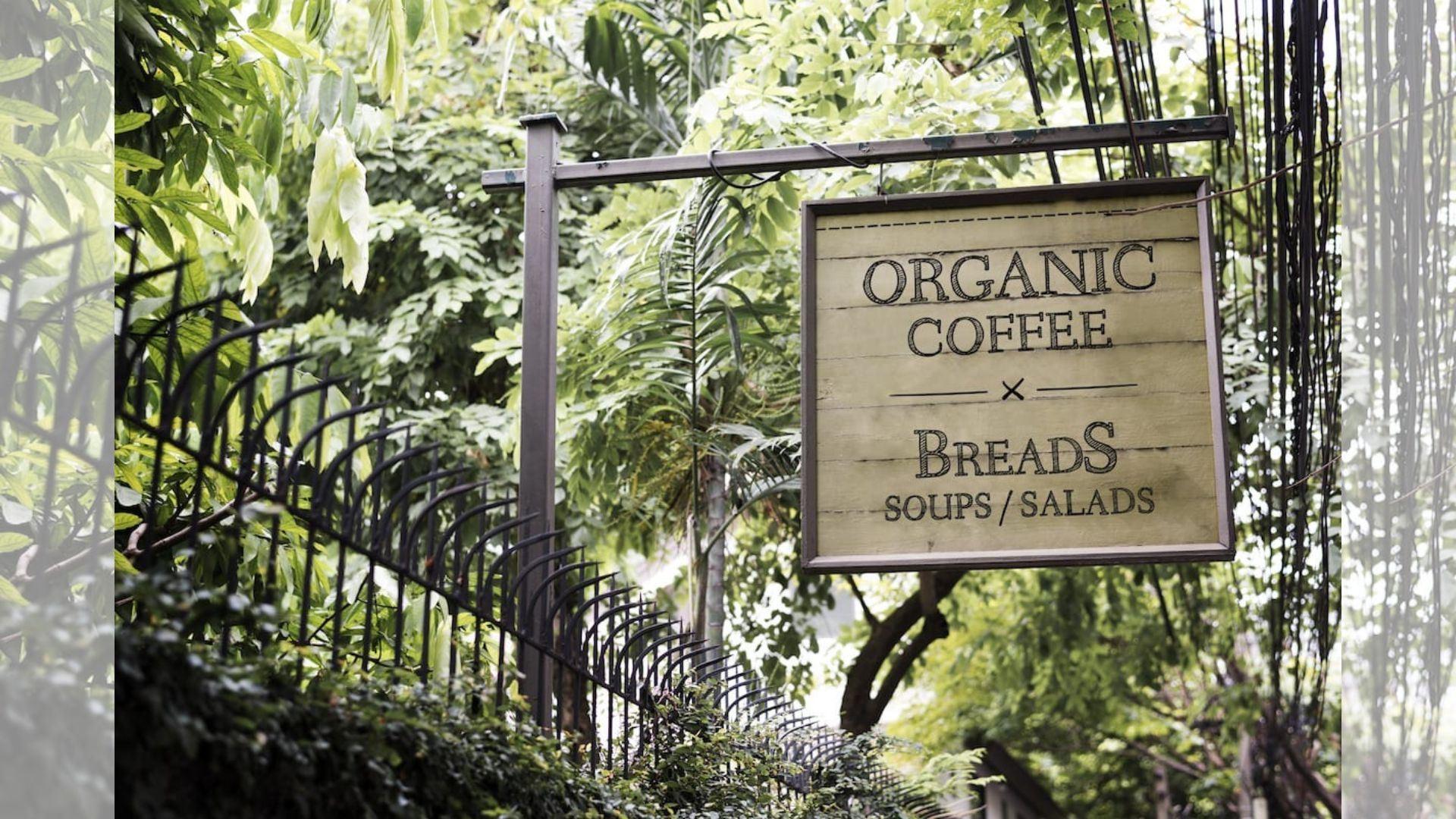How to Align Your Brand Voice with Sidewalk Signs