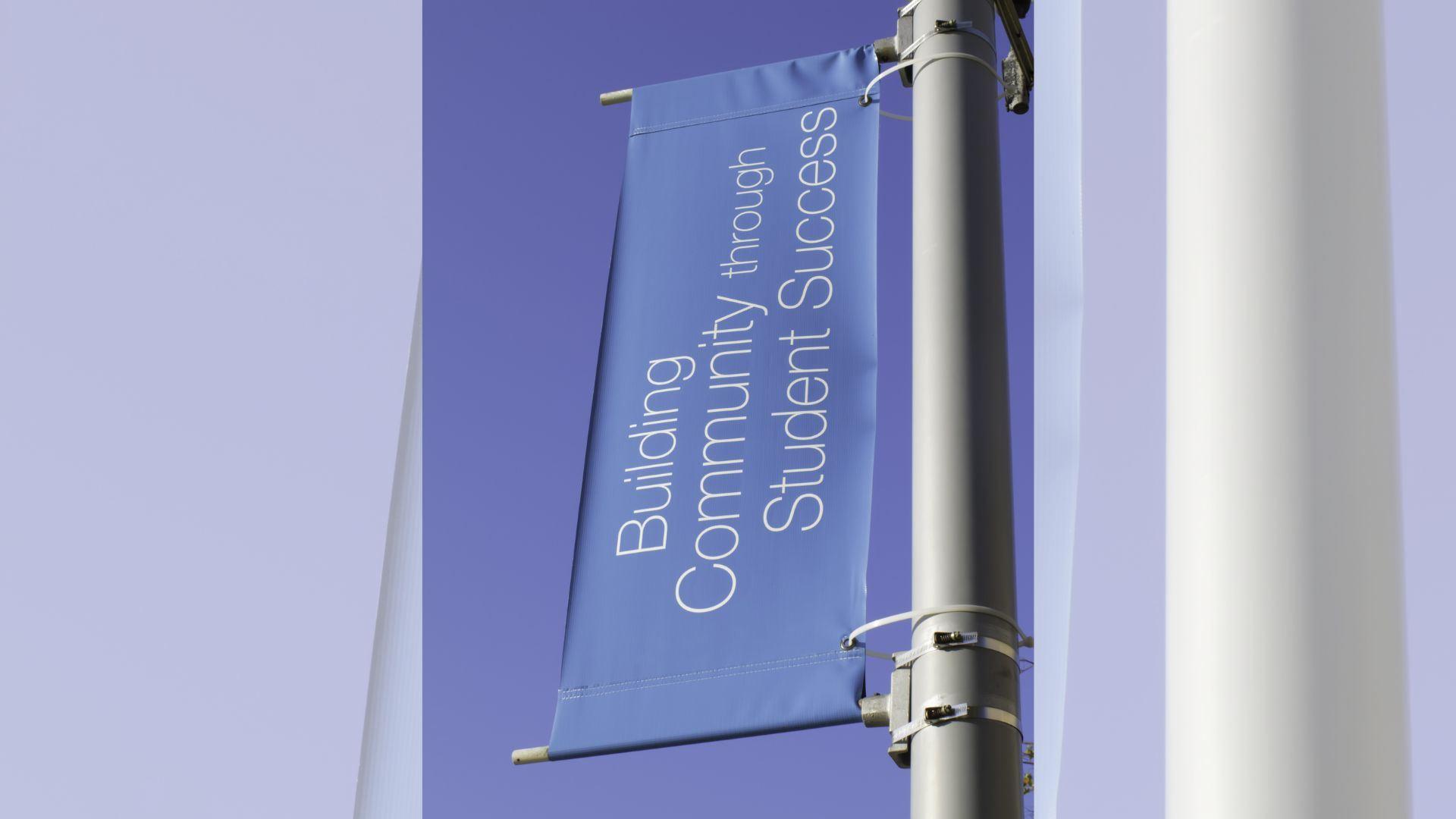 The Role of Visual Structure in Reducing Customer Confusion