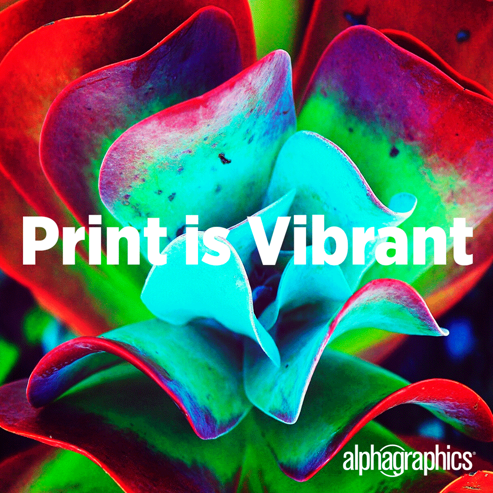 6 Reasons Why Print is Real