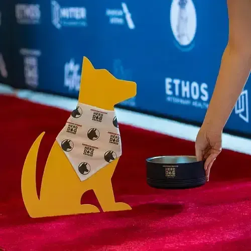 American Humane Hero Dog Awards®