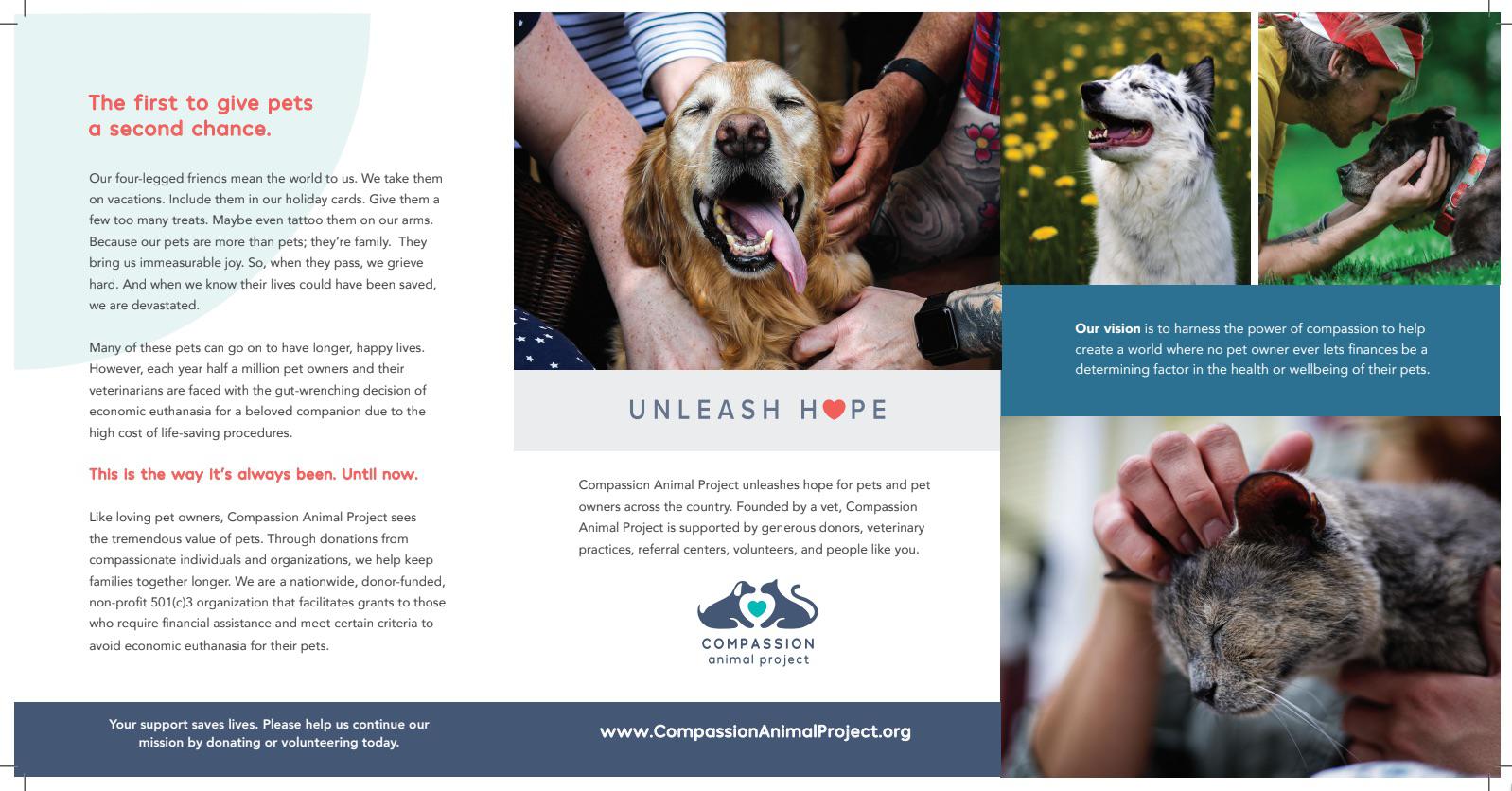 The Compassion Animal Project rack card design