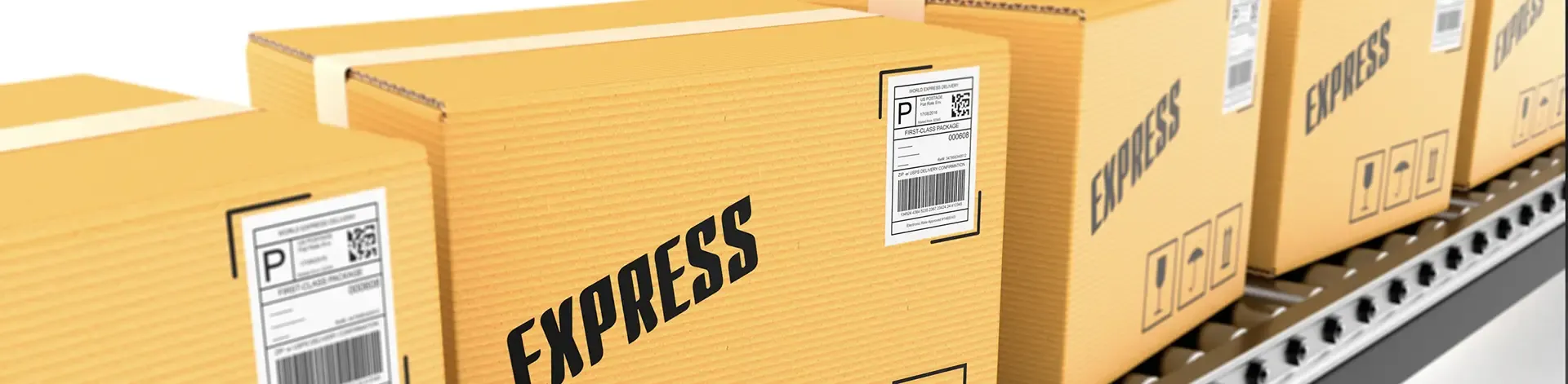 Mailing & Fulfillment Services
