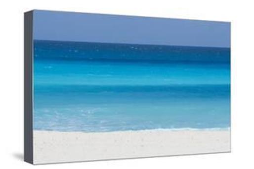 Make a Statement with AlphaGraphics Posters and Canvas Prints