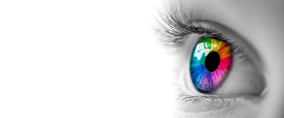 The Psychology Of Color In Your Brand