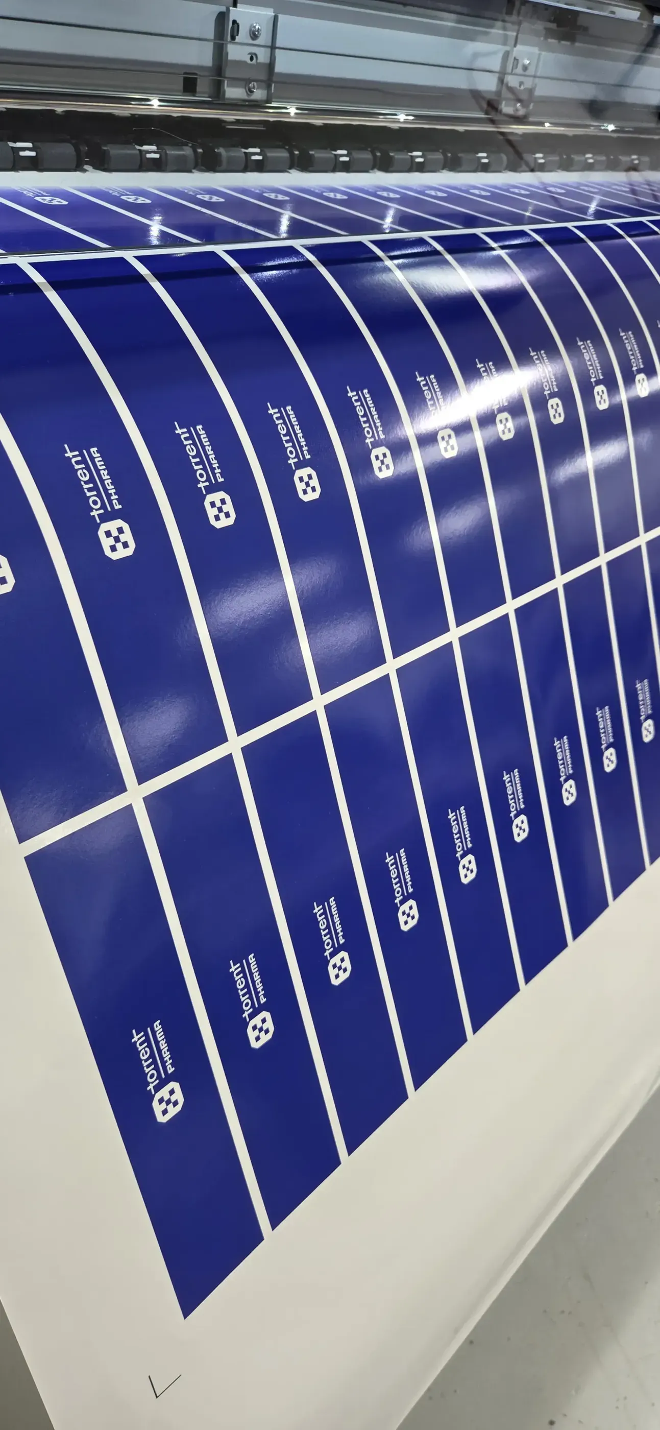 Custom labels and stickers from AlphaGraphics Oceanside