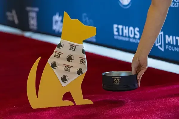 Custom promotional items for dogs