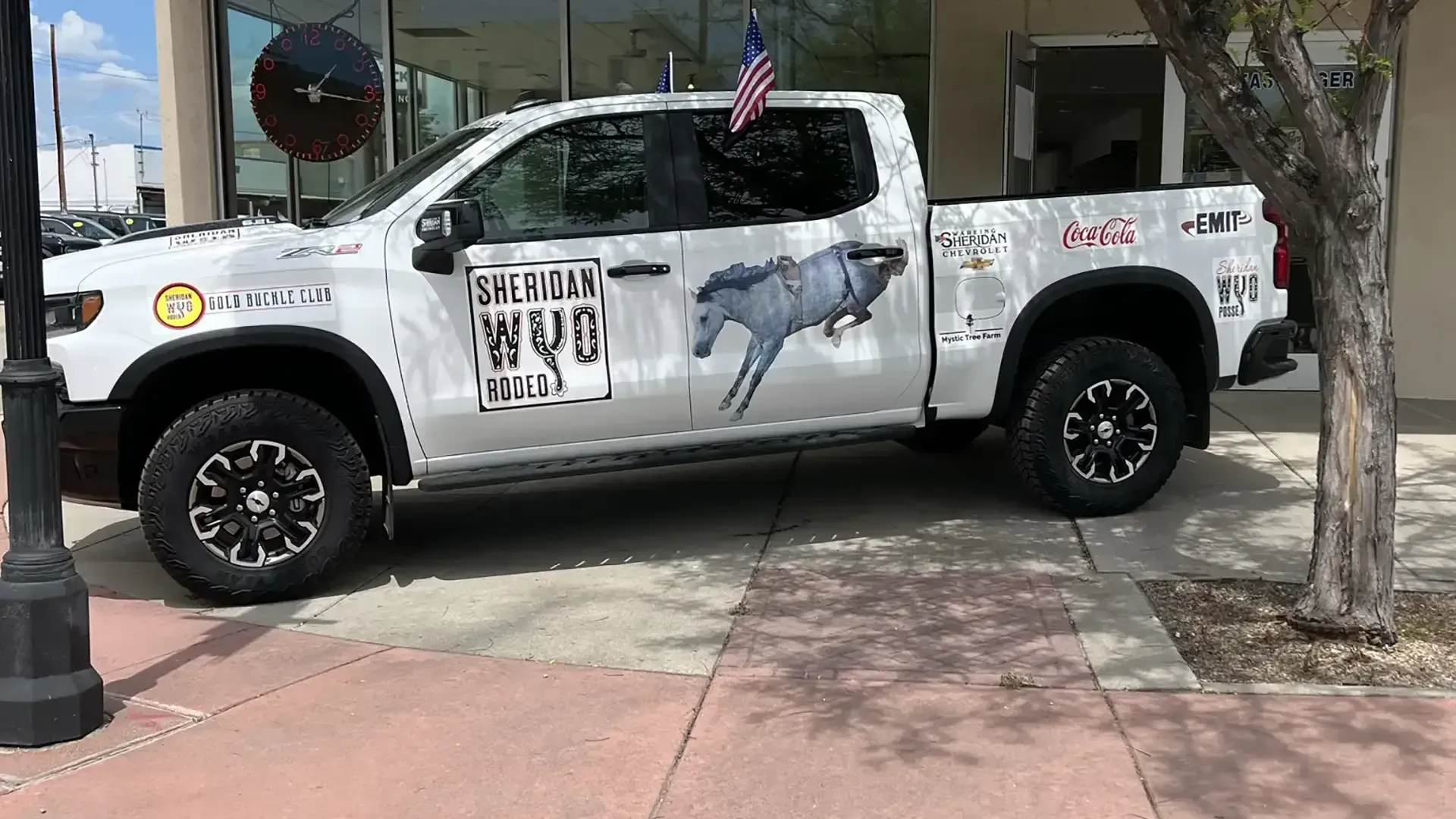 Custom Vehicle Graphics
