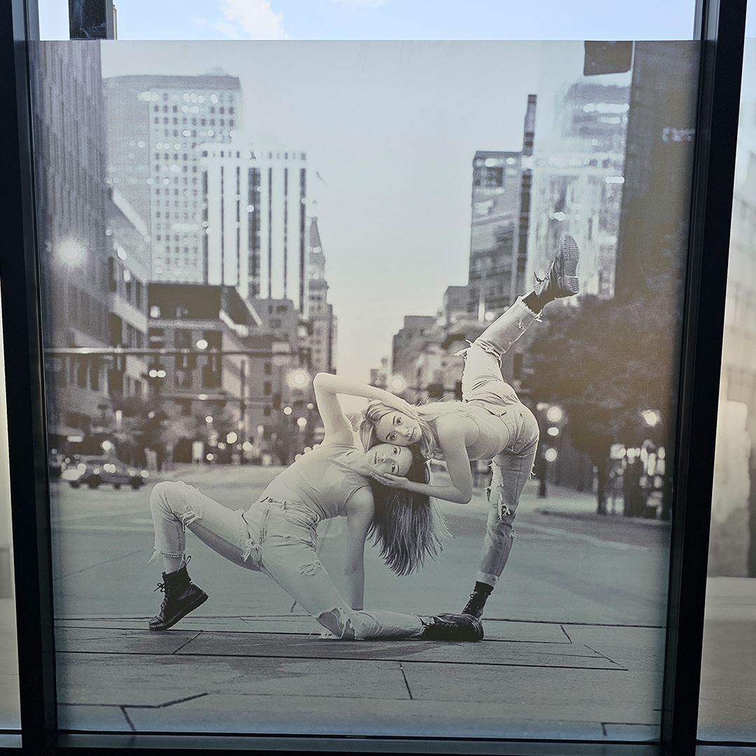 Wall and Window Vinyl