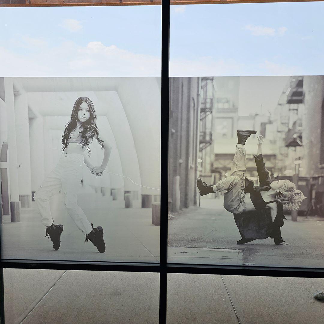 Wall and Window Vinyl
