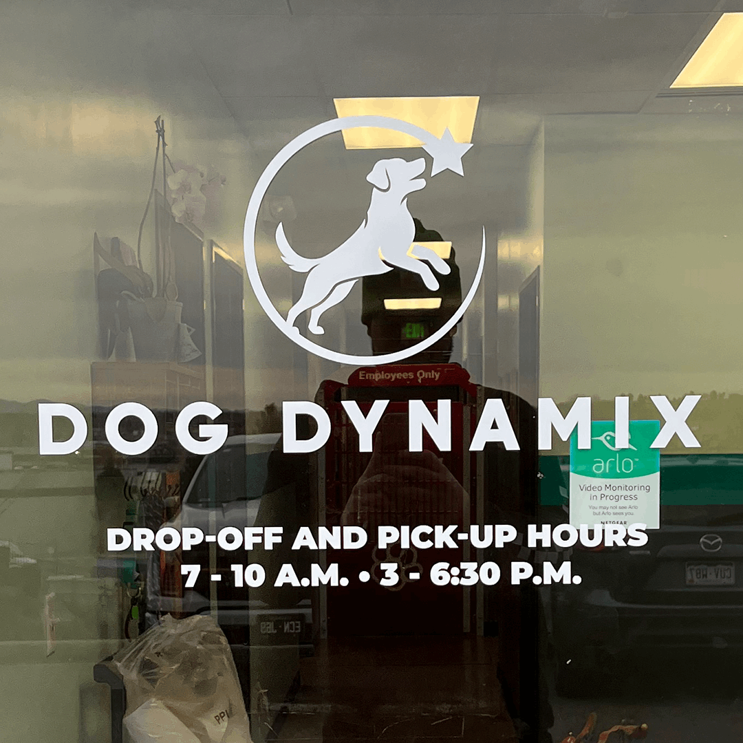 Wall and Window Vinyl