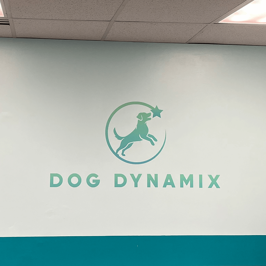 Dog Daycare Custom Wall Graphics