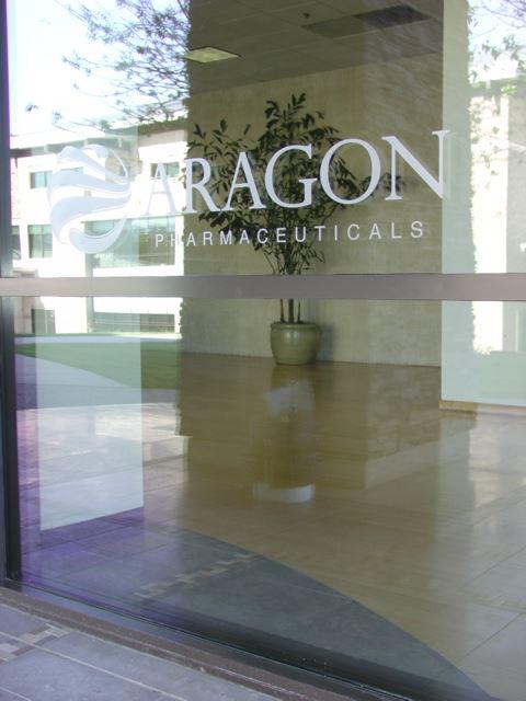Etched window vinyl
