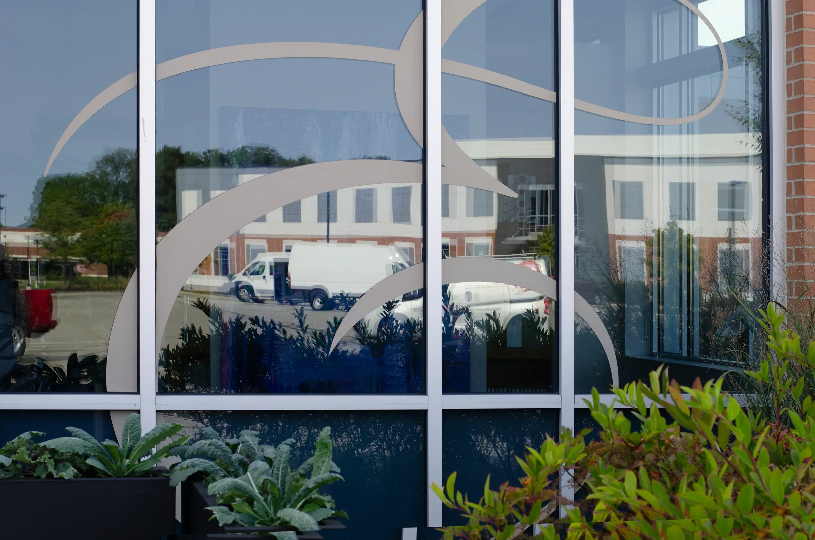 A modern glass building façade with custom window graphics featuring abstract swooping lines in beige. The windows reflect the parking lot outside, showing vehicles and a nearby building. In the foreground, green plants add a natural contrast to the reflective surface.