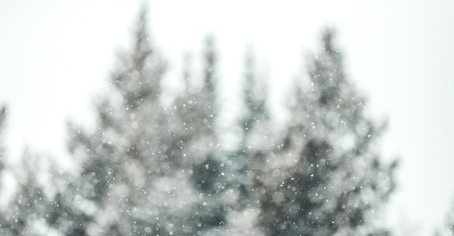 Holiday Business Preparation Tips