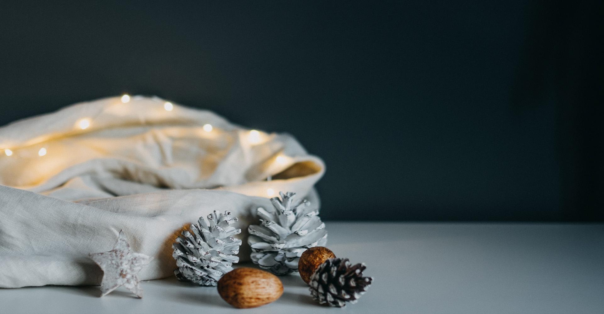How Can We Help Your Business Prepare for the Holiday Season?