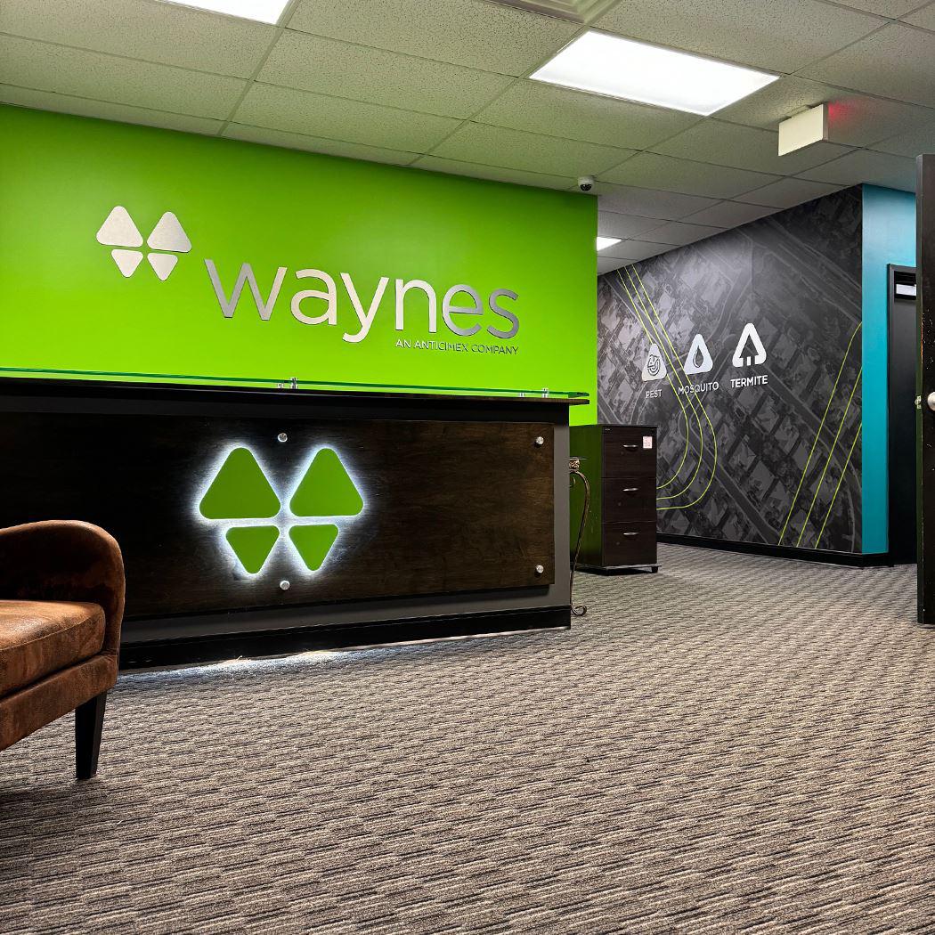 Various Signage and Wall Covering