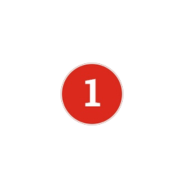 number 1 icon