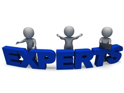 You Are An Expert