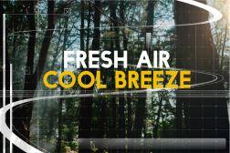 Durability & Maintenance of Custom Window Graphics