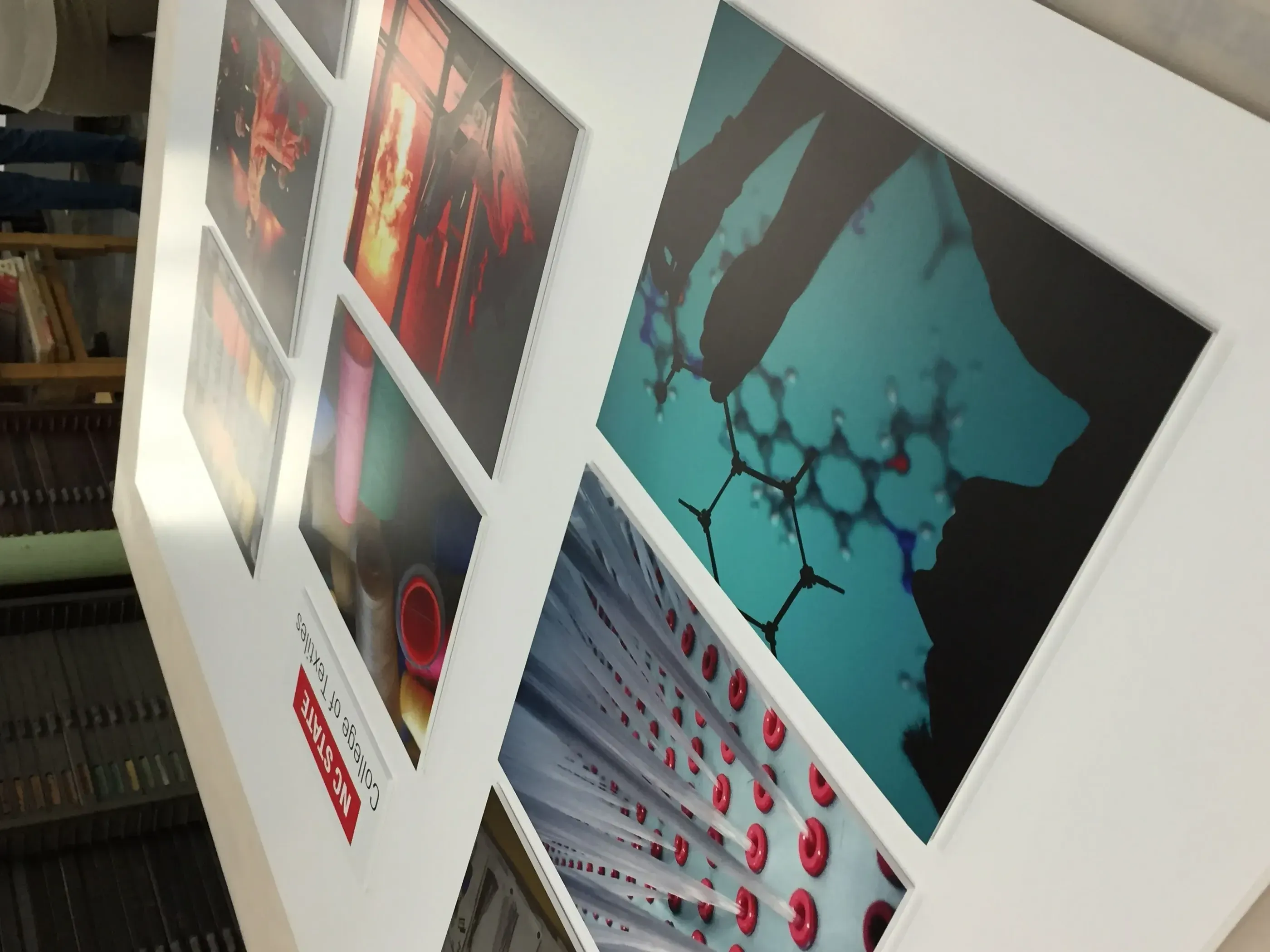Mounted photo prints on a display board