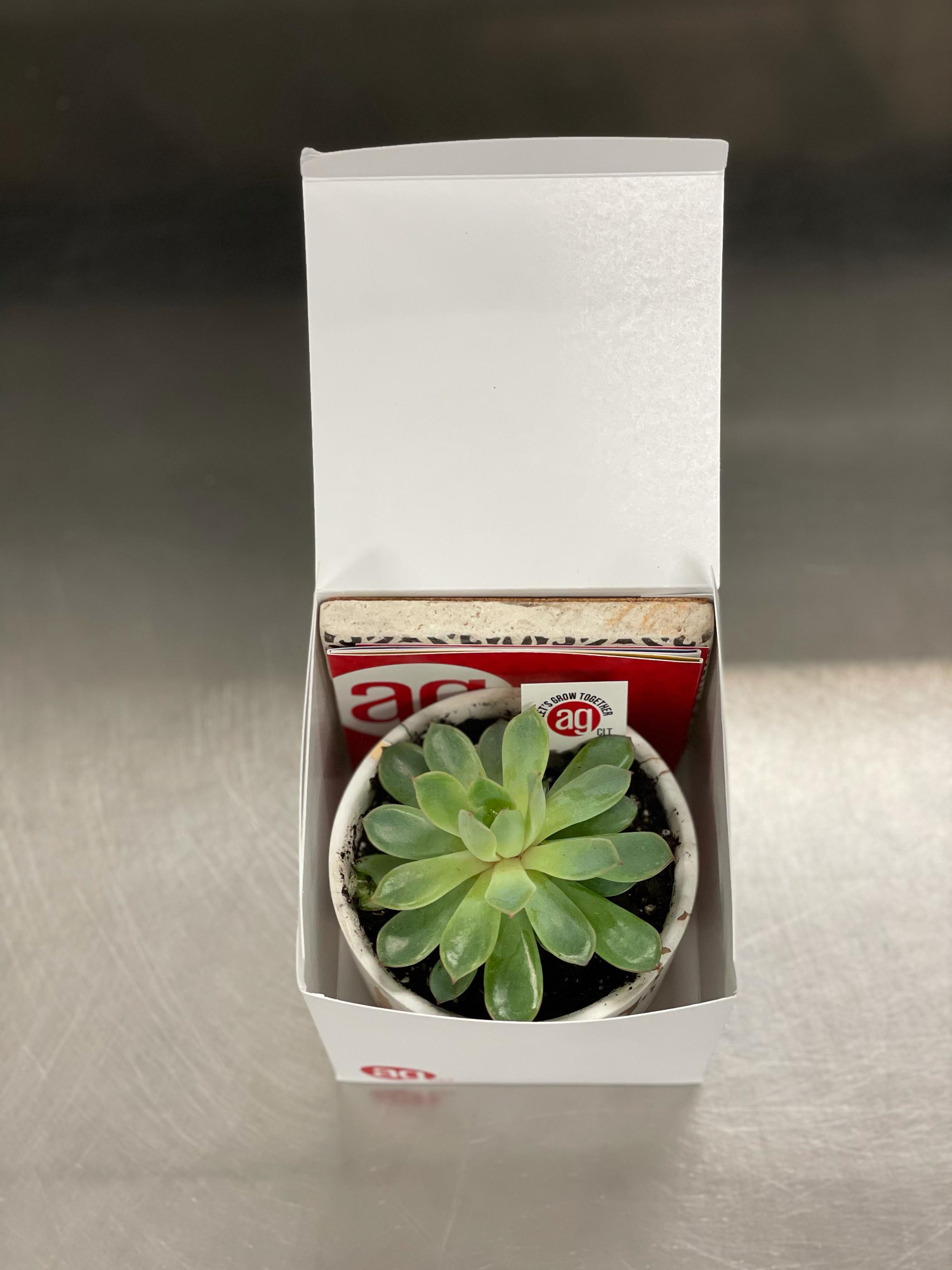 Customer appreciation gifts Charlotte NC