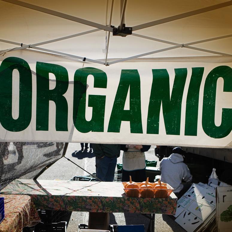 Mesh banner production
