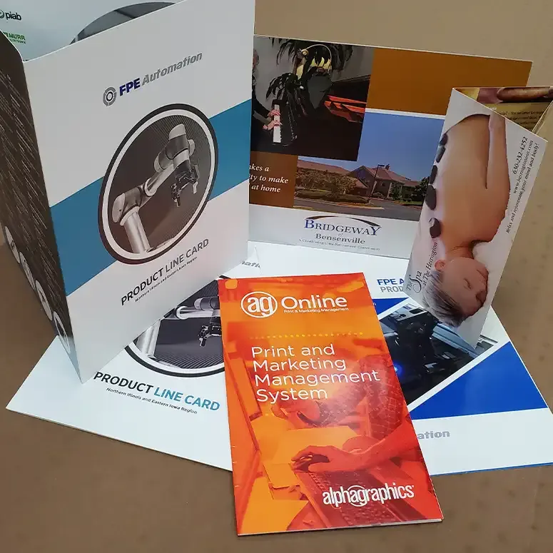 Assortment of Flyers & Brochures