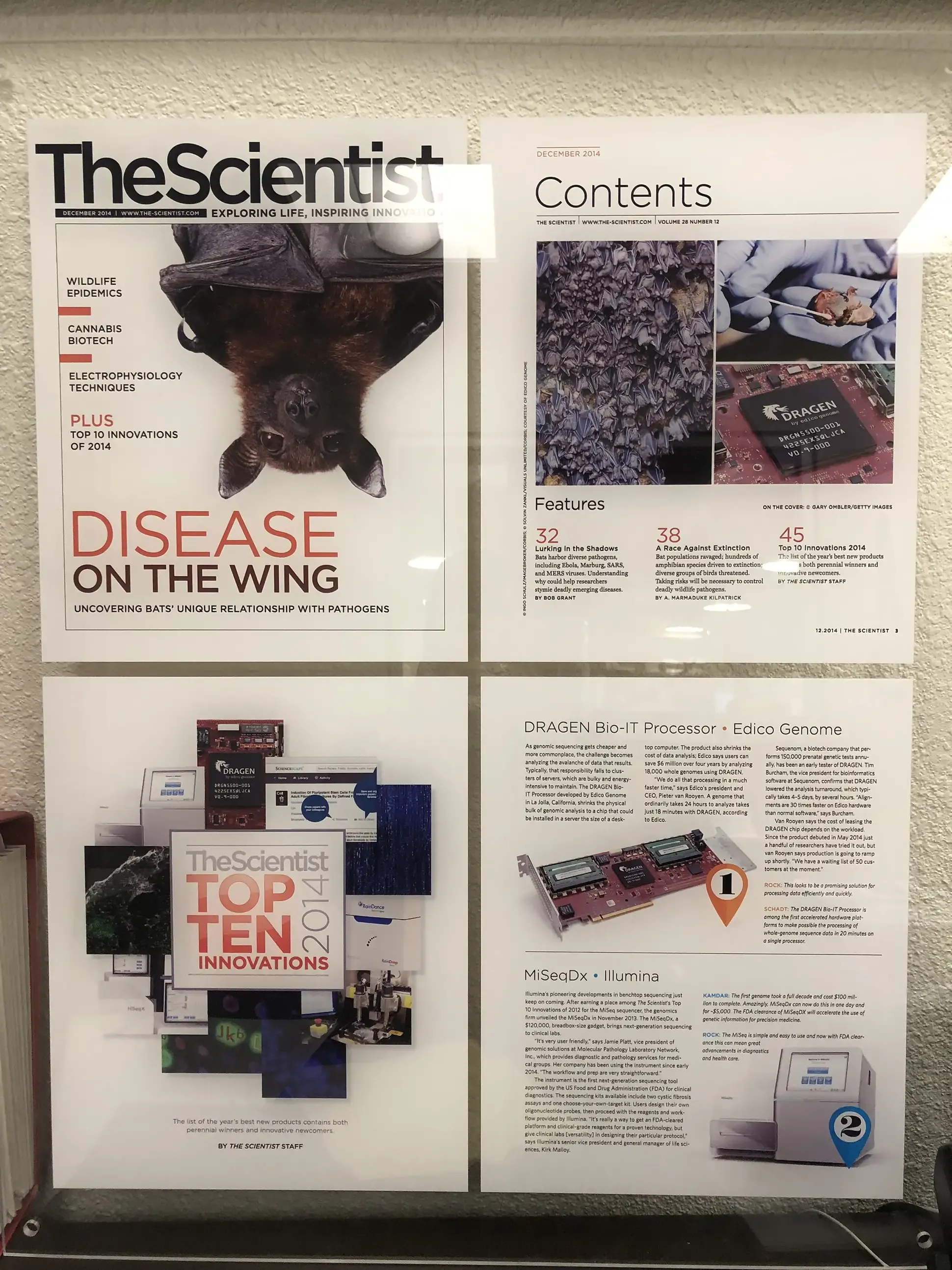 Framed scientific magazine posters and research feature displays mounted on a wall in a life sciences office