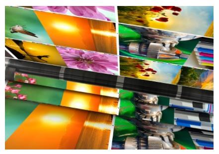 7 Ways Your Company Gains through Using a Professional Printer