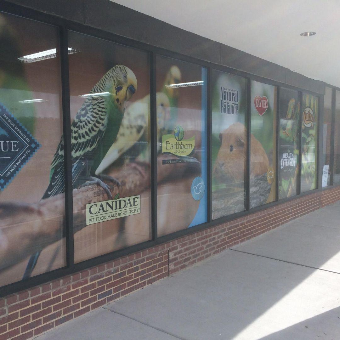photo of window graphics